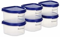 Floraware - Plastic Storage Containers - 250ML (Blue, 2)