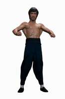 Unleash the Legend! 🥋 Magic Toyland Bruce Lee 19cm Action Figure - 72% OFF + Extra 5% Discount!