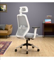 Green Soul Eva Office Chair, High Back Mesh Ergonomic | 1D Adjustable Armrest | Computer, Desk Chair, Work from Home Chair with Built-in Lumbar Support, Heavy Duty Metal Base(White Grey)