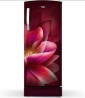 Whirlpool 192 L Direct Cool Single Door 5 Star Refrigerator with Base Drawer(Wine Forest, 215 IMPRO ROY 5S WN FOR - 72967)