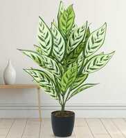 What The Fry Deals - Upto 82% Off [03rd November 2024]