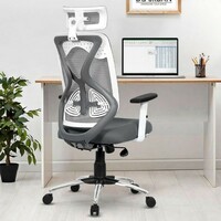 Da URBAN® Merlion Office Chair,High Back Mesh Ergonomic Home Office Desk Chair with 3 Years Warranty, 