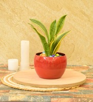 Hudson Iron Red Desk Pot