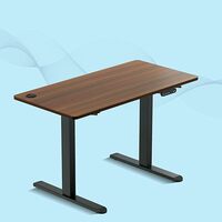 ₹1000 coupon - ErgoSmart by The Sleep Company - Adjustable Desk | Sit-Stand Ergonomic Table | Electric Height Adjustable Desk for Laptop | WFH Desk with Memory Preset Controller | 1600 x 700 Top | Wooden Color