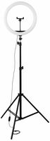 Amazon Basics :  LED Ring Light (12-inch) with Tripod Stand