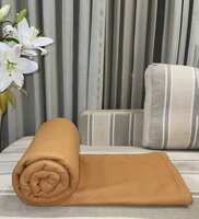 Beige Polyester Solid 140 GSM Single Polar Blanket