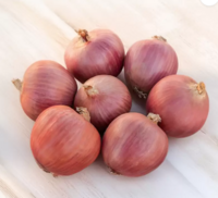 Onion 1kg at Rs. 17