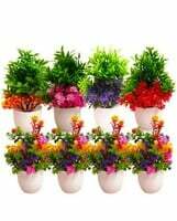 Dekorly Artificial Plants