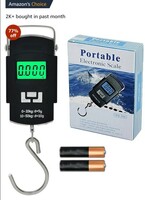 Aliston Electronic Portable Fishing Hook Type Digital LED Screen Luggage Weighing Scale, 50 kg/110 Lb (Black) 