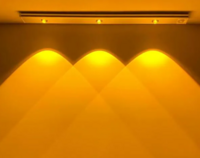 What The Fry Deals - Upto 85% Off on Lunch Bag, Kitchen Scale & More starting from ₹109