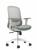 NXTGEN MISURAA - Athens Mid Back Ergonomic Chair - Grey