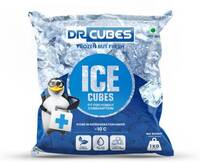 Flipkart Minutes - DR CUBES 1 KG PACKET Regular Cubes  (1000 g)