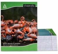 Classmate Single Line 172 Pages (₹33/ piece)