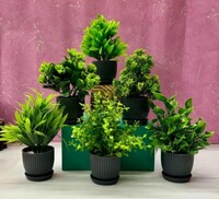 Plastic 6 Packs Fake Plants Small, Mini Artificial Plants Indoor For Home Farmhouse Wild Artificial Plant  with Pot