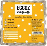 Flipkart Minutes - Paneer, Eggs, Yogurt, Bread Upto 70% Off