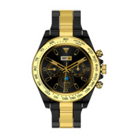 Fire-Boltt Blizzard Smartwatch (Gold Black Strap)