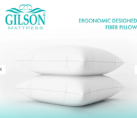 Frey Fiber 24 x 16 Inch Pillows (Set of 2)