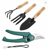 Ravel Gardening Tools Flover Cutter & Garden Tool Wooden Handle Garden Tool Kit  (4 Tools)