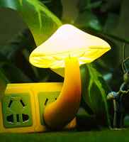 Mushroom Led Night Light @Rs 1 Free Shipping (Location Specific)