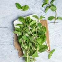 Mint Leaves - Net Qty: Approx. 100g - 110g
