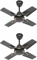 Candes Brio Turbo 600 mm/24 inch Small Ceiling Fans for Home | High Speed, Energy Saver |Small Ceiling Fan for Home, Kitchen Fan, Balcony & Small Room | 2 Yr Warranty | Smoke Brown (Pack of 2)