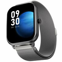 Fire-Boltt Ninja Call Pro Max Smart Watch 2.01 (Silver SS)