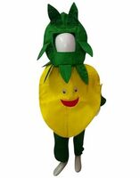 BookMyCostume Lemon Nimbu Fruit Vegetable Kids Fancy Dress Costume 14-16 years
