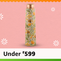 Copper Bottles Under 599
