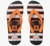 Paragon HWK3703G Men Stylish Lightweight Flipflops | Casual & Comfortable Waterproof Slippers for Indoor & Outdoor | for Everyday Use