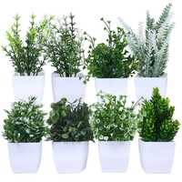 Artificial Plants with Pot| Multi Variety | Durable Plastic | No Maintenance | Home Decor | Dimensions: 5 cm X 13 cm (Pack of 8)