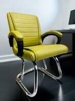 KITHANIA Executive Office Chair Home Study Library Chair with Chrome Steel and Cushioned seat Back (1, Green, Double Support Steel Frame)