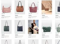 Caprese Women Handbags Upto 89% Off | Start At Rs.439