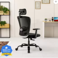 GREEN SOUL - 2D Headrest & Lumbar Support Mesh Office Adjustable Arm Chair  (Black, White, Optional Installation Available)