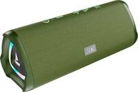 boAt Stone 750 w/ 12 HRS Playback, RGB, TWS Feature & IPX5 12 W Bluetooth Speaker  (Moss Green, Mono Channel)