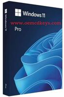 Microsoft Windows 11 Pro Genuine Lifetime Retail License Key (Digital Delivery via email in 2 to 24 hrs)