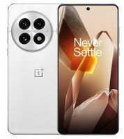 OnePlus 13 | Smarter with OnePlus AI (12GB RAM, 256GB Storage Arctic Dawn)