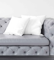 Microfiber Filled Polyester 16 x16 Inch Cushion Inserts (Set of 2)