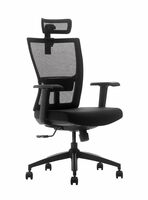 DeckUp Apollo High Back Executive Mesh Office Chair (Black)
