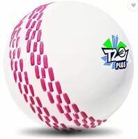Jaspo T-20 Plus Practice Cricket Ball/Wind Balls for - Indoor & Outdoor Street & Beach Cricket Synthetic Ball  (Pack of 1, White)