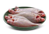 Pink Perch/Kilimeen/Sankara Meen Fish (Medium) 440g to 500g Pack {Location Specific}