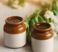 Tasteful Twins Brown & White Ceramic (Set of 2) Salt & Pepper Shaker