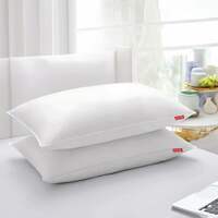 Zinnia Comfort Soft Microfiber Pillow , White , Basic Size 41 x 61 CM , Pack of 2