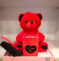 Plush Red Teddy Bear with I Love You Message Box, Valentine's Day Gift, Romantic Soft Toy