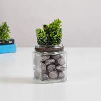 Home Centre Corsica Eden Transparent Artificial Plant Glass Jar