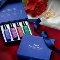 Park Avenue Luxury Perfume Gift Set for Men, 4x20 ml