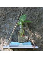 Upto 80% Off on Wall Shelf Starting @ just ₹259 