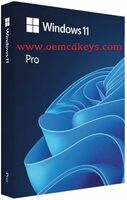 [Lowest] Microsoft Windows 11 Pro Genuine Lifetime Retail License Key