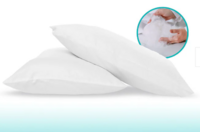 Kirk Microfiber 24 x 16 Inch Pillows (Set of 2)