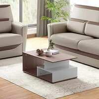 GODREJ INTERIO EWA Engineered Wood Coffee Table