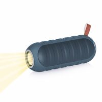 Blaupunkt BT10 Portable Wireless Bluetooth Speaker